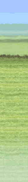 green pastures