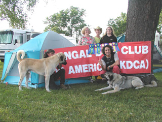 2003 UKC Premier
