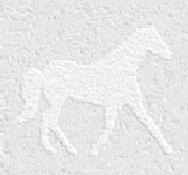 horse trot background