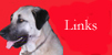 kangal links button