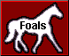 maroon foals gif