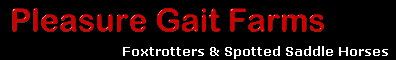 Foxtrotters - Pleasure Gait Farms - foxtrotting stallions & foxtrotter horses for sale