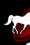 Missouri Fox Trotting Horses