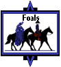 foals button